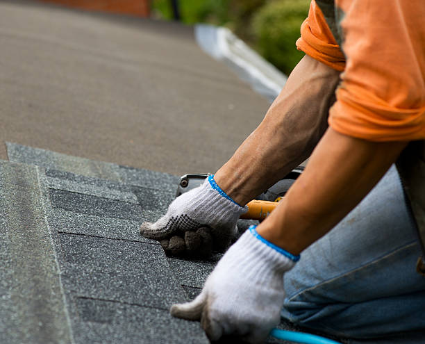 Best Commercial Roofing Services  in Craig, AK