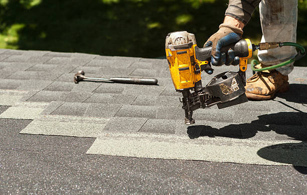 Roof Gutter Cleaning in Craig, AK